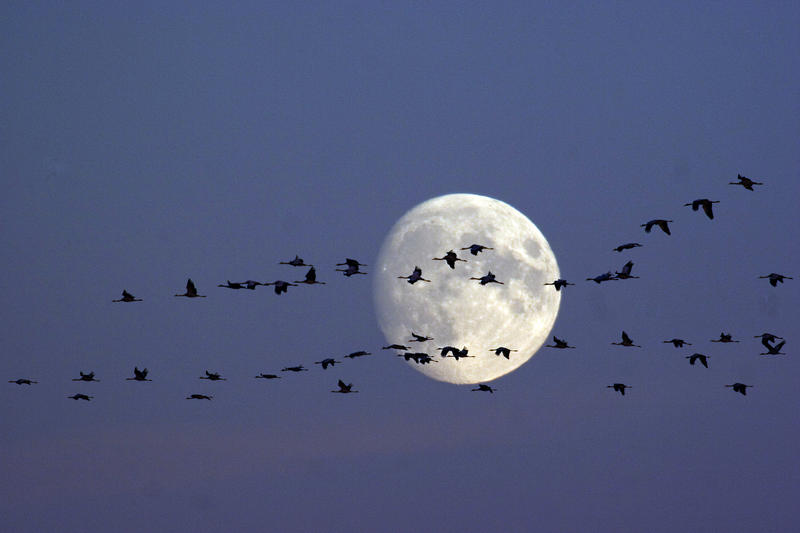 Image - Spektakel am Abendhimmel