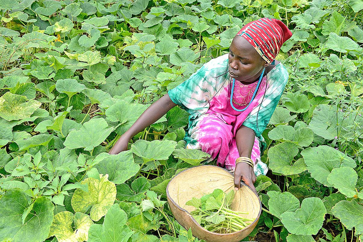 Image - Hoffnungszeichen