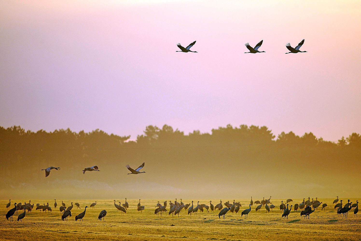 Image - Spektakel am Abendhimmel