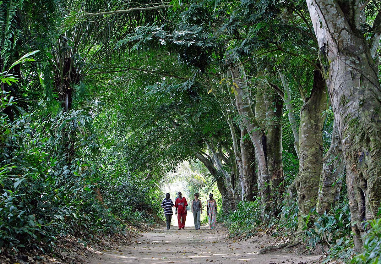 Image - Die Zukunft liegt in Afrika
