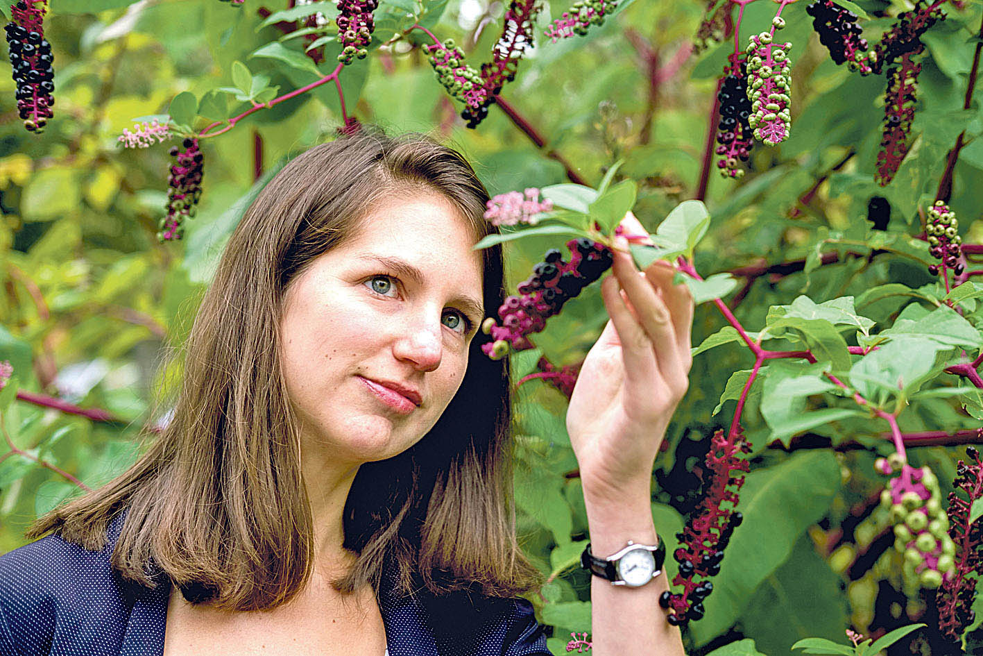 Image - Antibiotikum aus Schafdung