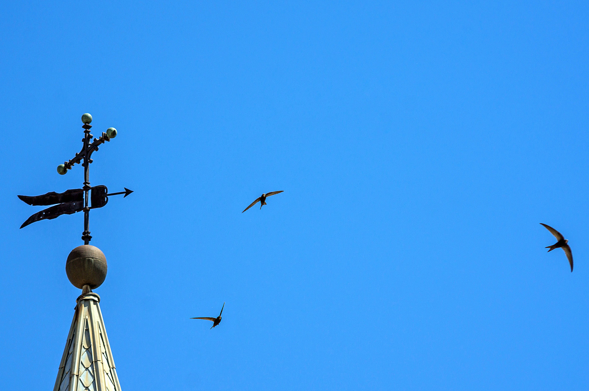 Image - Die Richtung halten