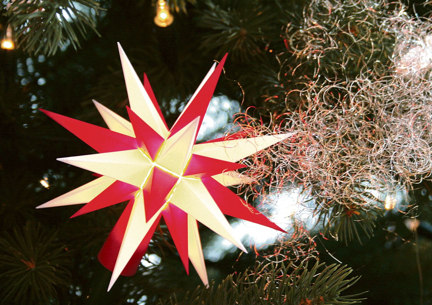 Image - Zack – und schon ist Weihnachten