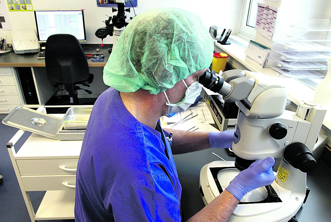 Image - Kulturfaktor Kirche