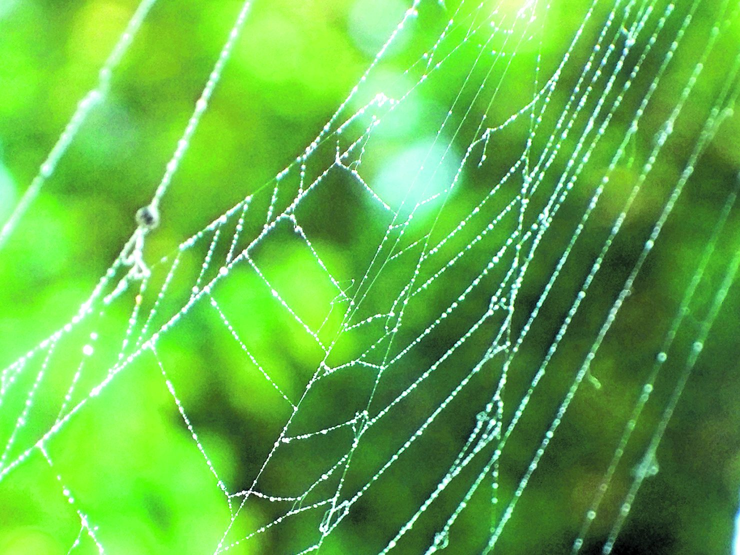 Image - Netzwerken für die frohe Botschaft