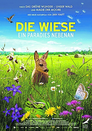 Image - Die Wiese …