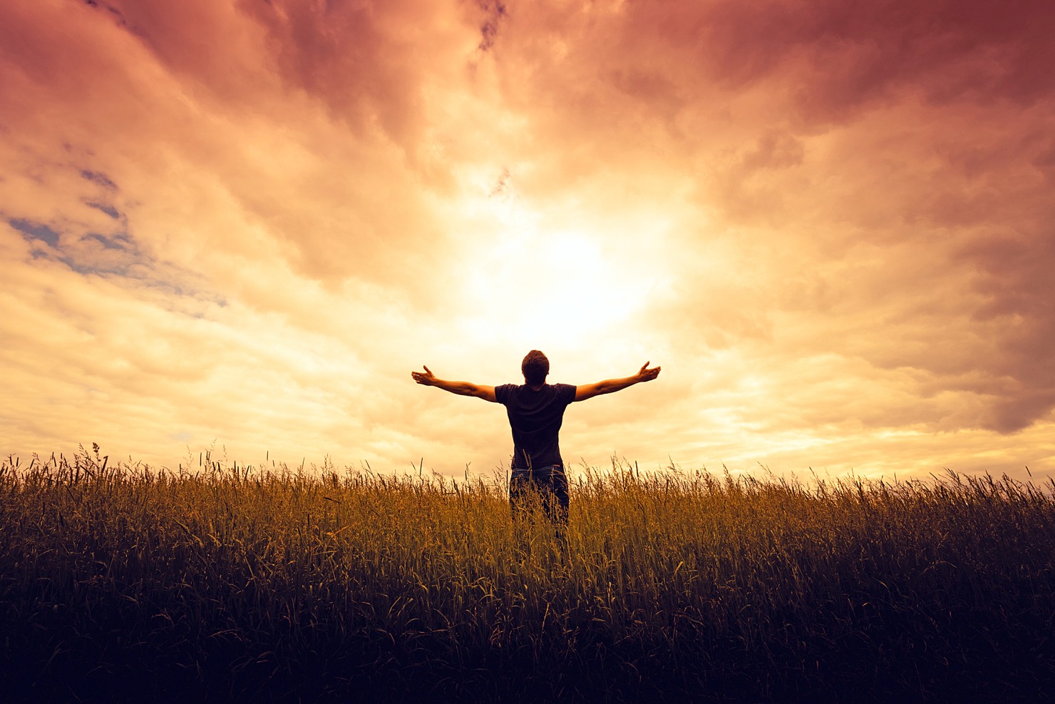 Image - Das Fest von Tod und Leben