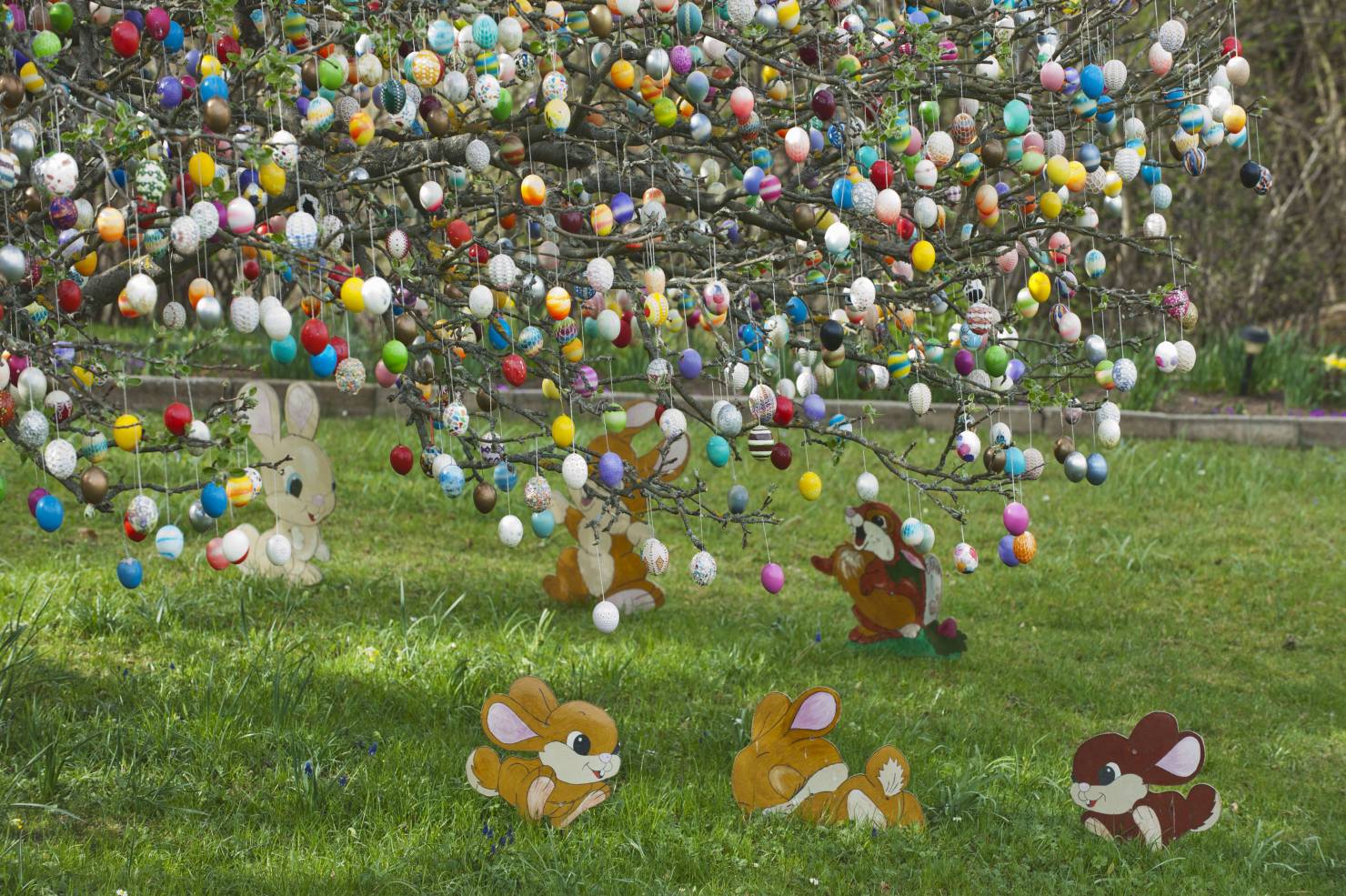 Image - Freispruch für den Osterhasen