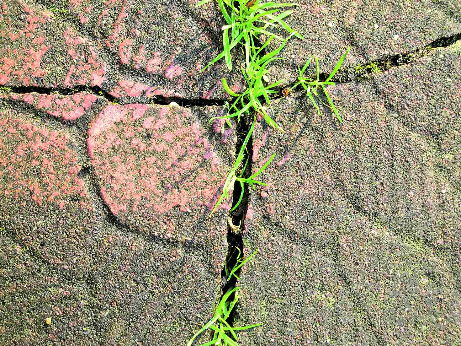 Image - Ostern auf den zweiten Blick