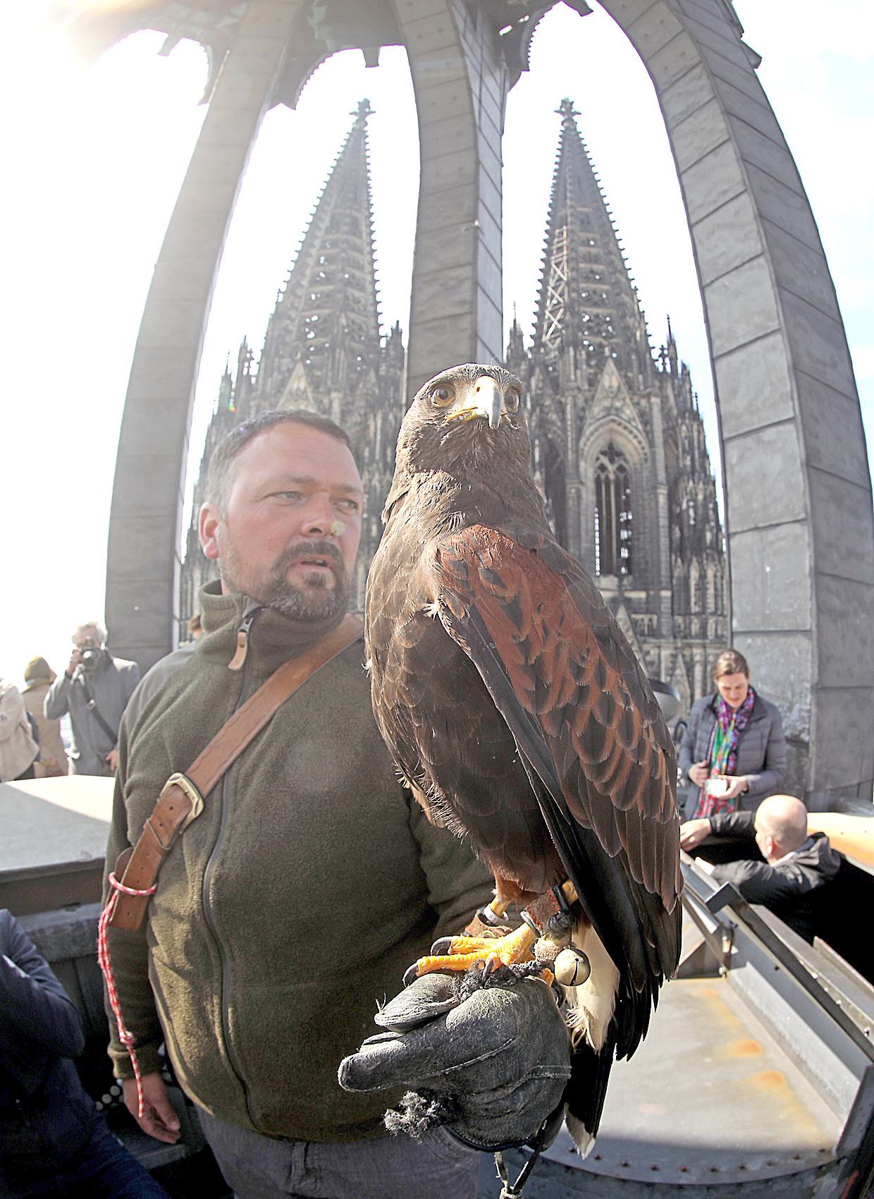 Image - Hilfe von Falken