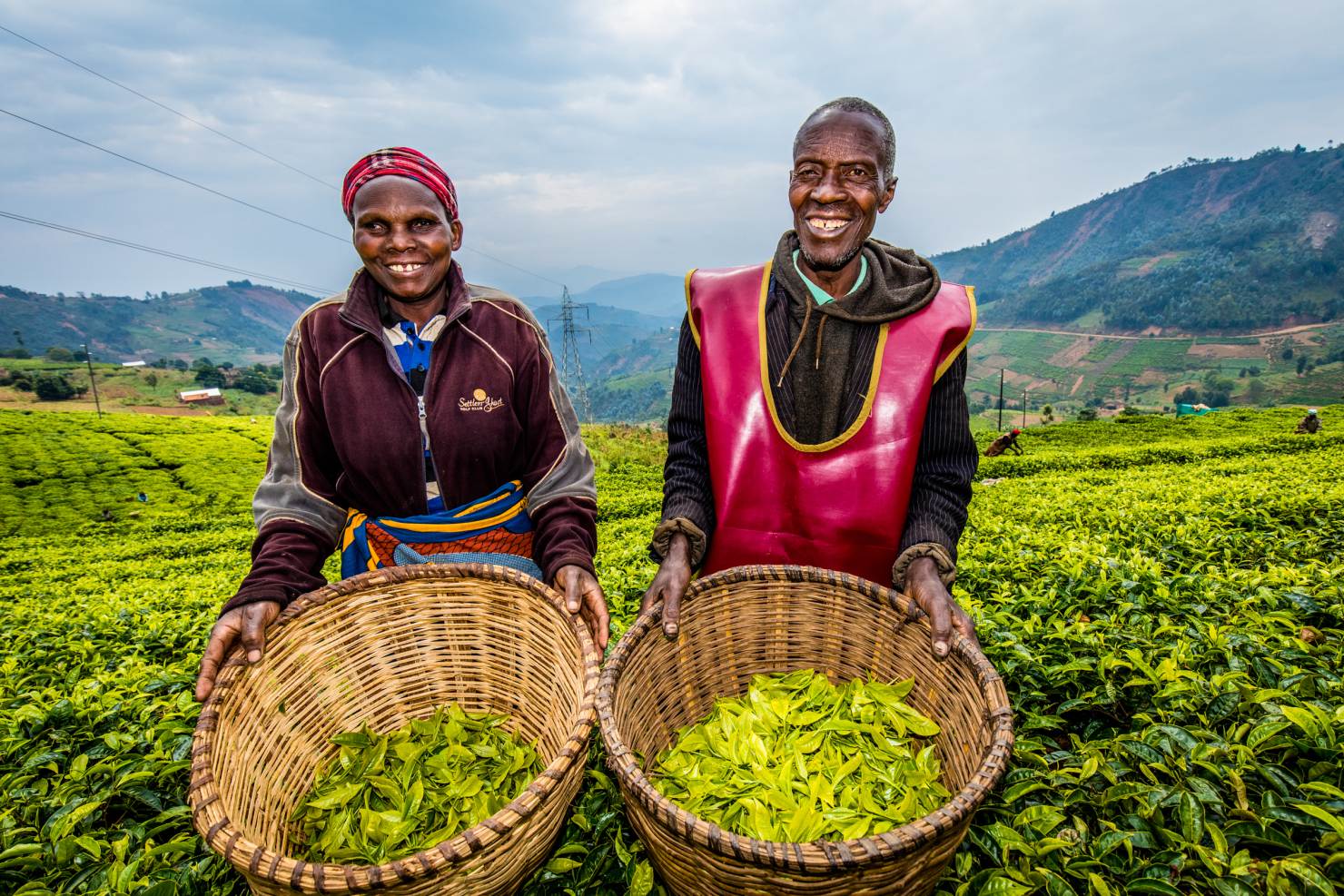 Image - Tee gegen die Armut