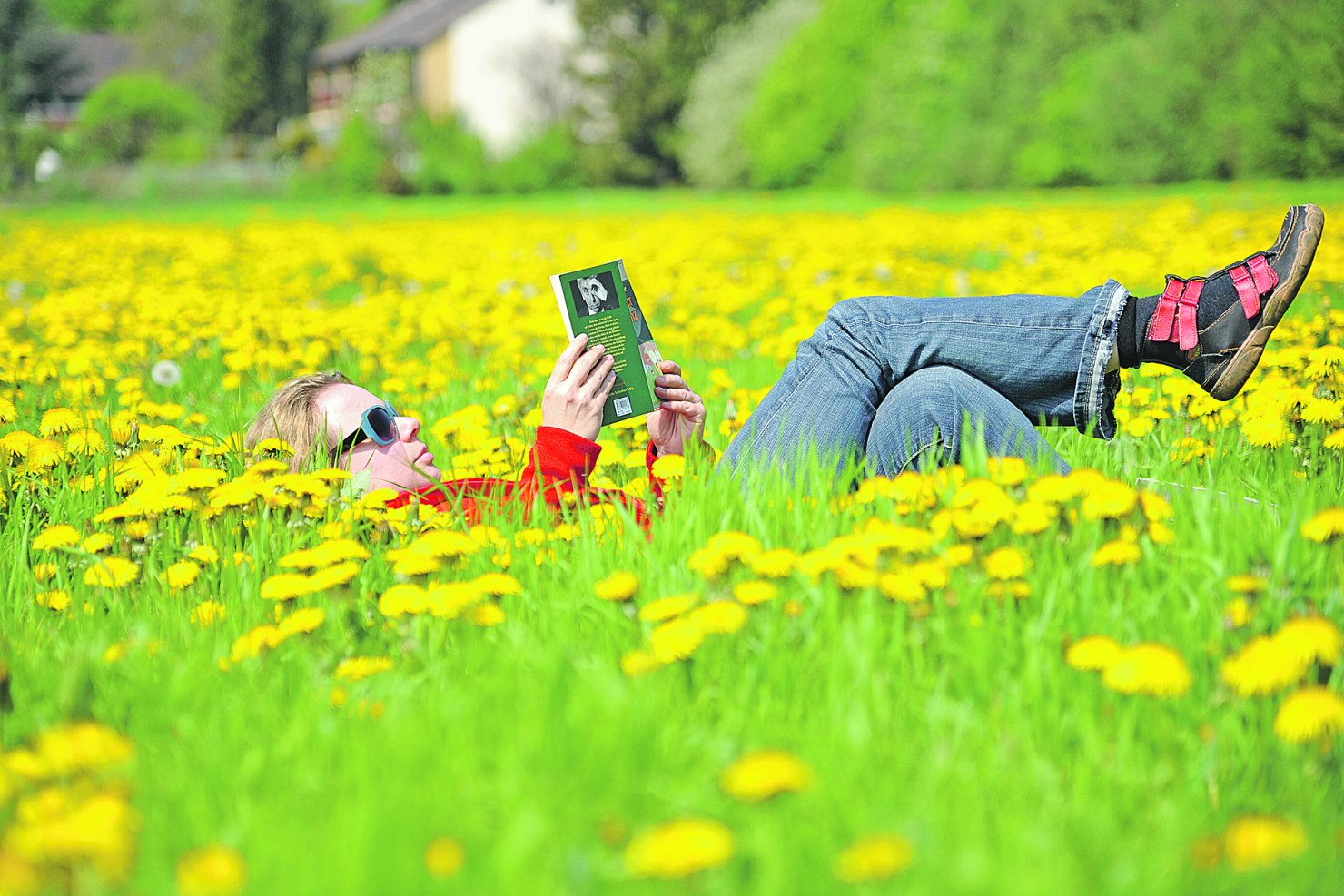 Image - Bücher als Arznei