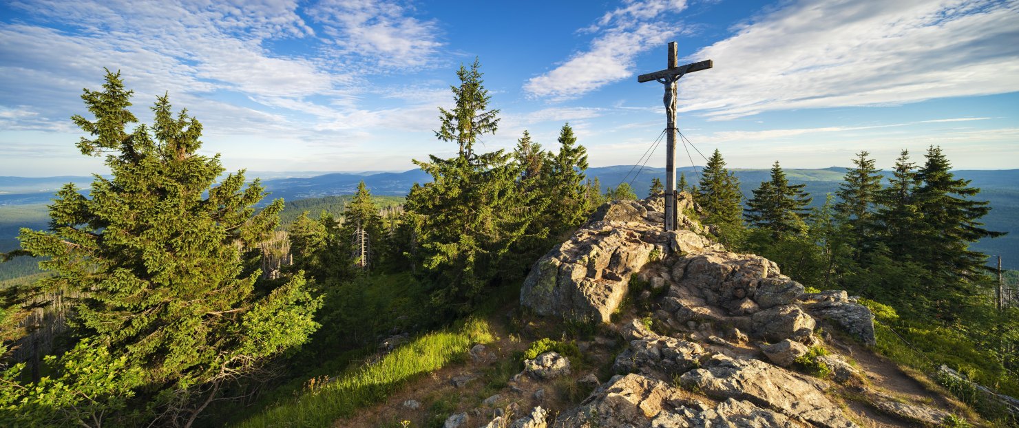 Image - Ein Eldorado für Luchs und Auerhuhn