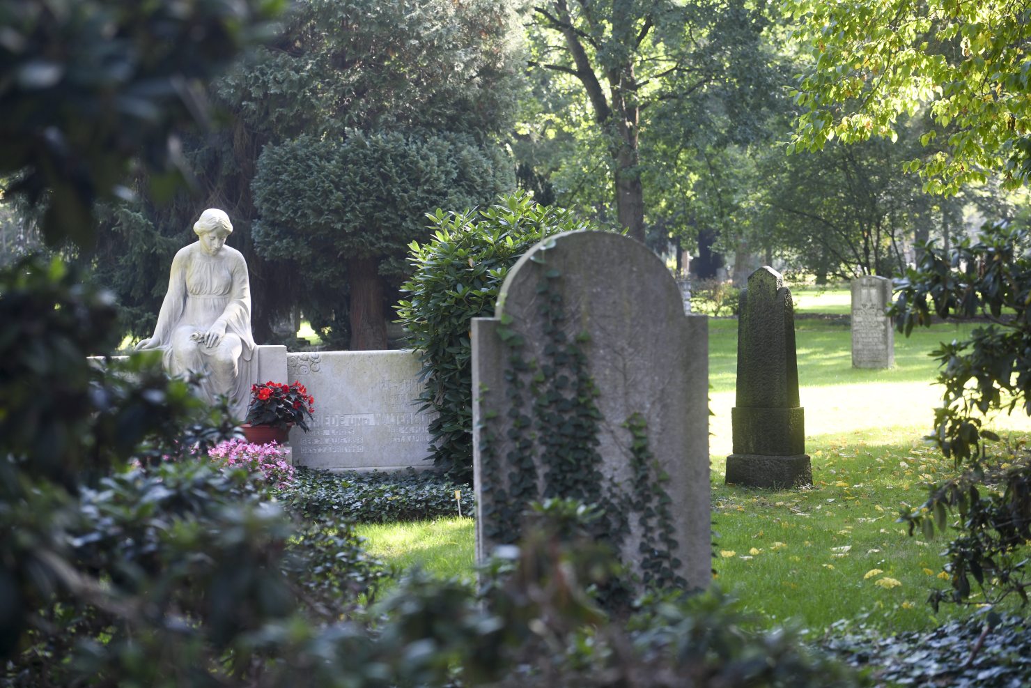 Image - Wenn Bienen über Gräbern summen