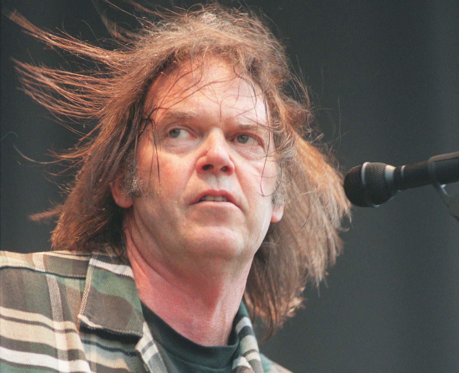 Image - Der ewige Hippie