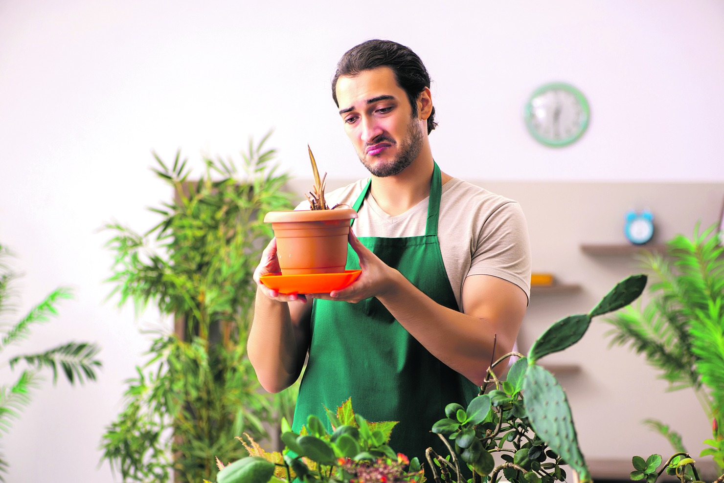 Image - Alle Mühe umsonst?