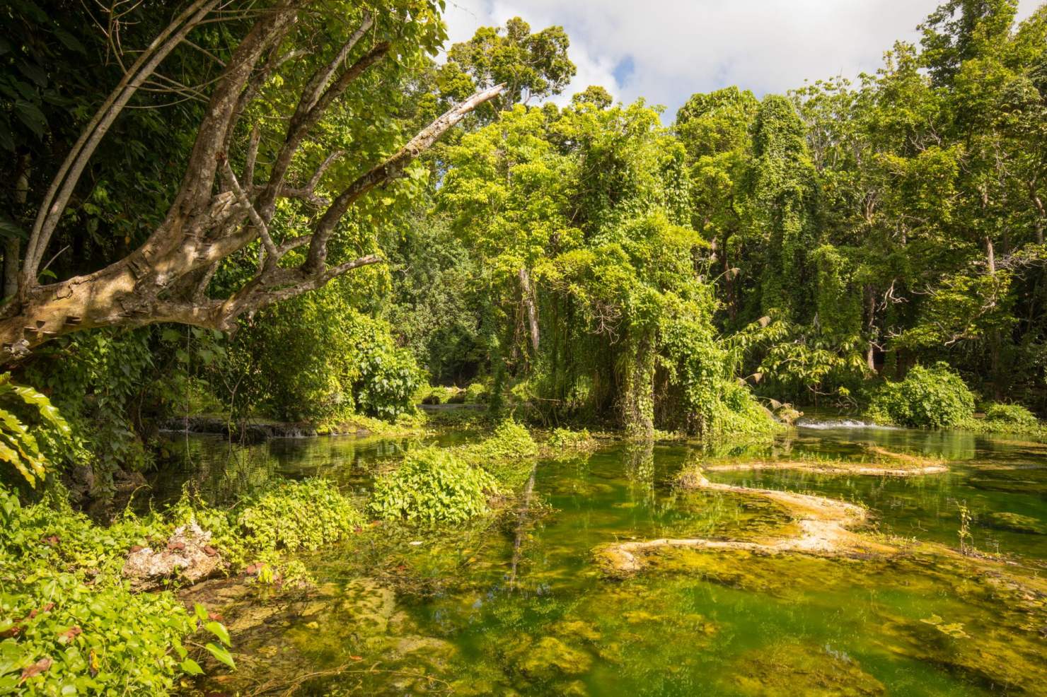 Image - Das Paradies ist bedroht