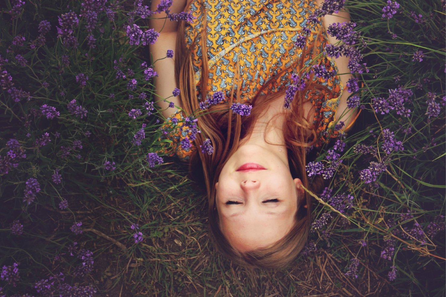 Image - Das große Geheimnis