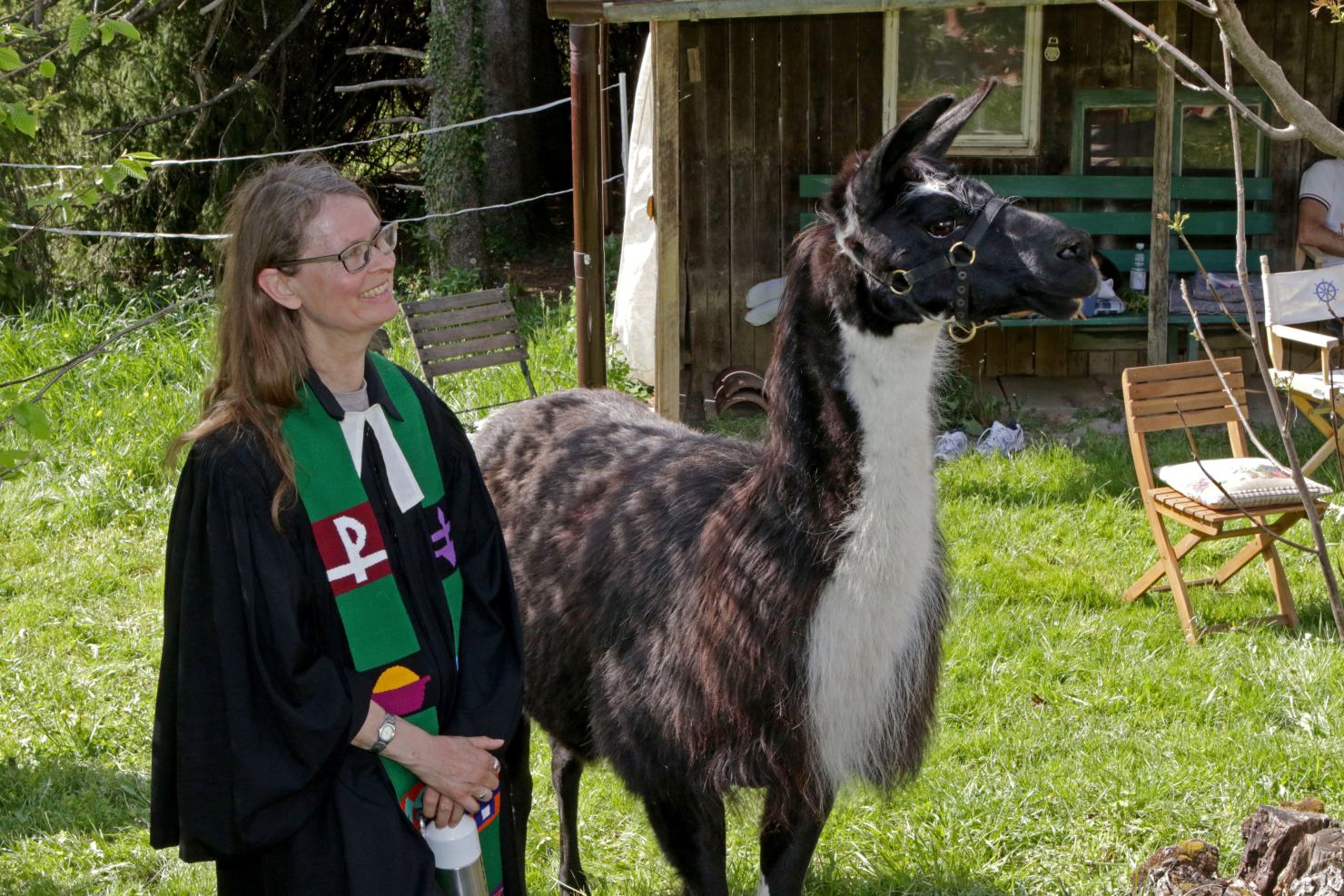 Image - Zu Gast im Wohnzimmer der Lamas