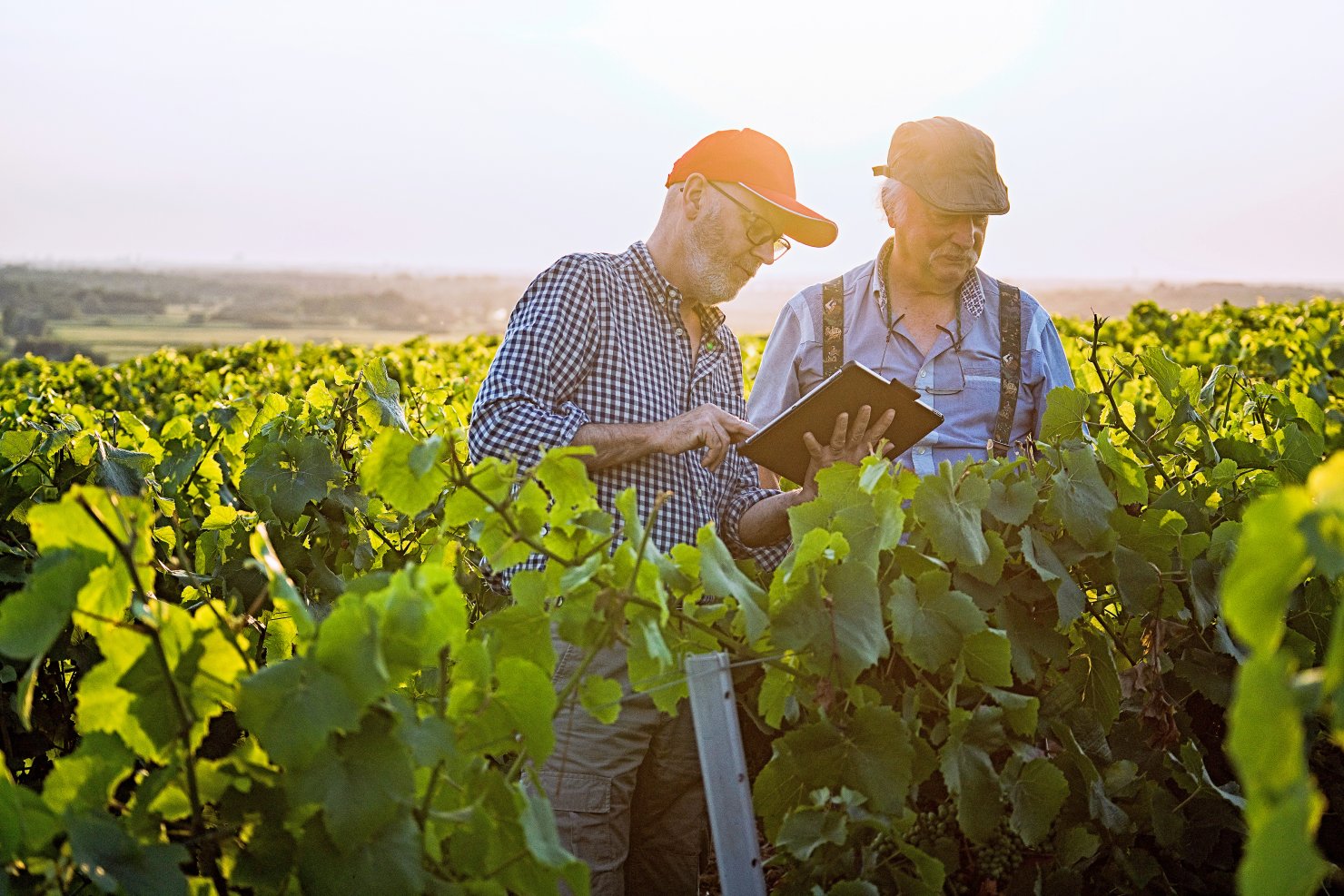 Image - Der Bauer als „Öko-Manager“