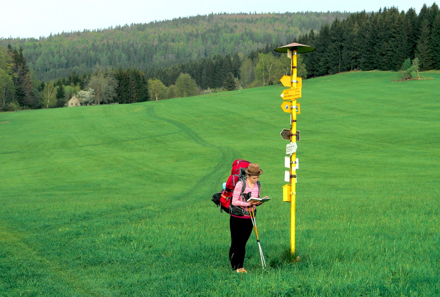 Image - Das Wagnis Freiheit