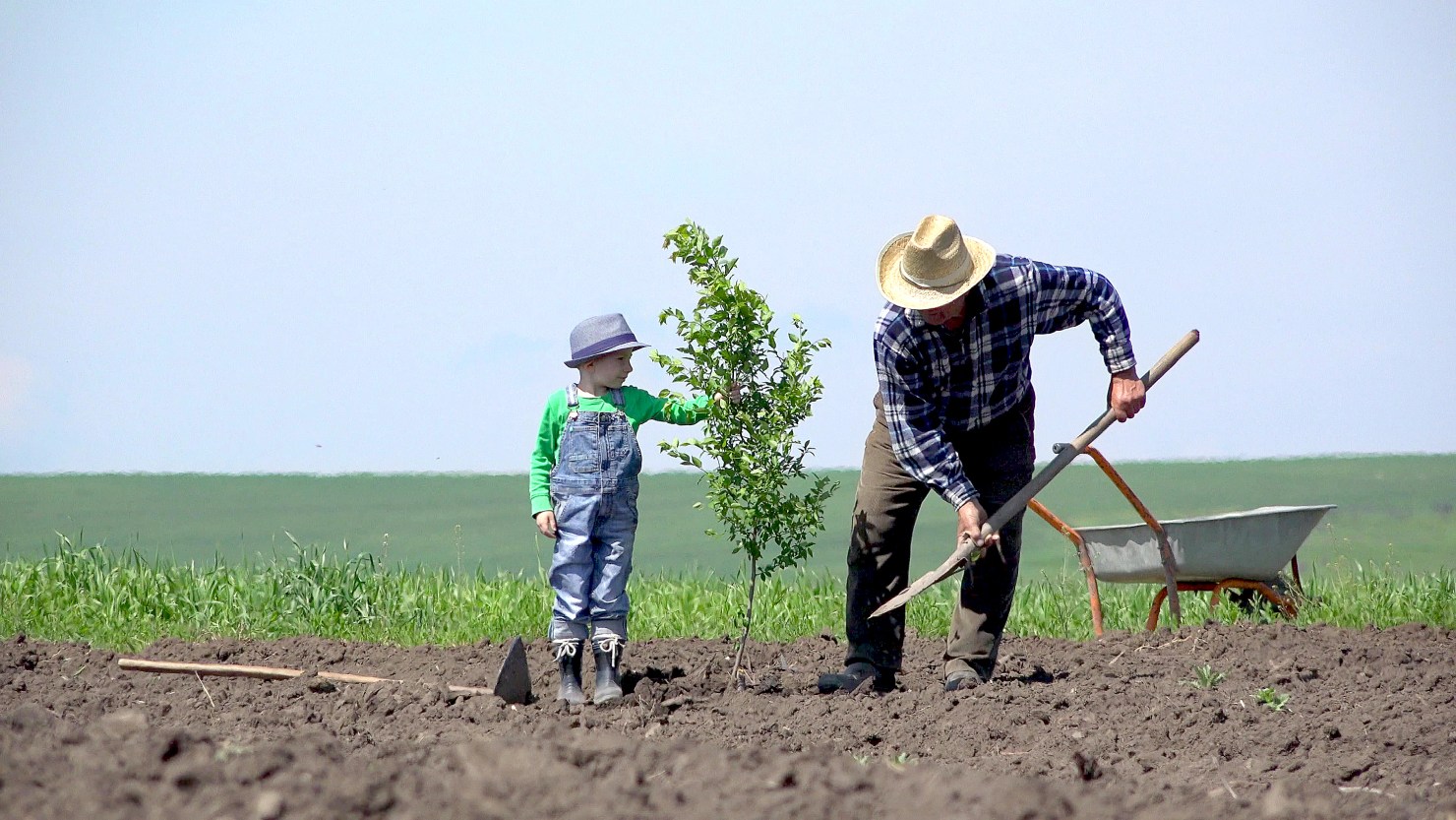 Image - Hoffnung – gerade jetzt