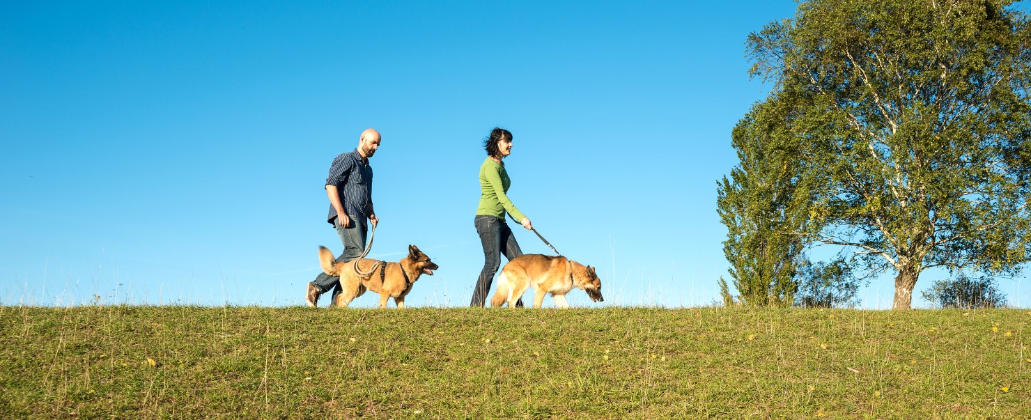 Image - „Das Glück annehmen, wenn es kommt“