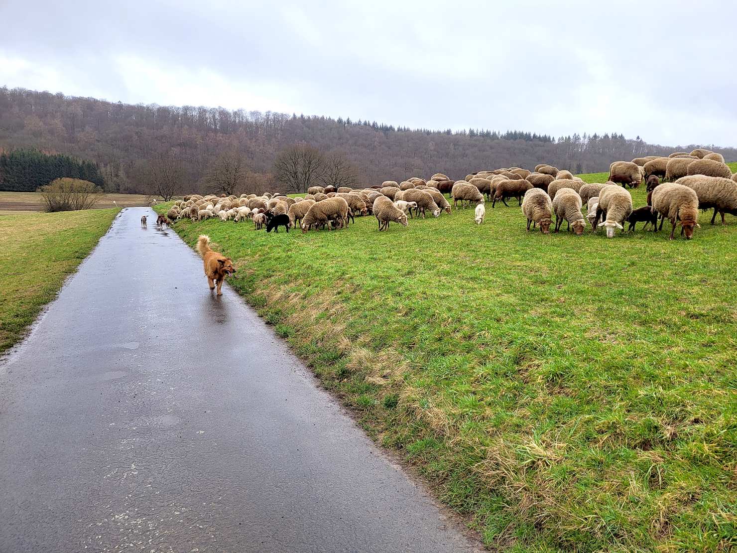 Image - Viele Wege führen zum Glauben