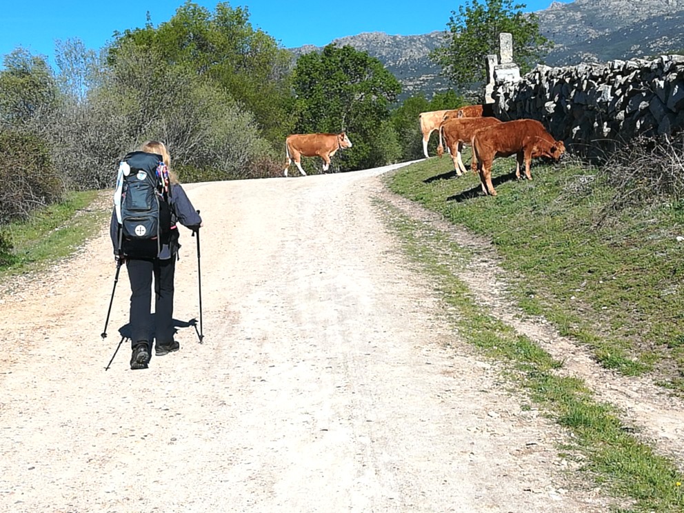 Image - Am schwersten ist das seelische Gepäck