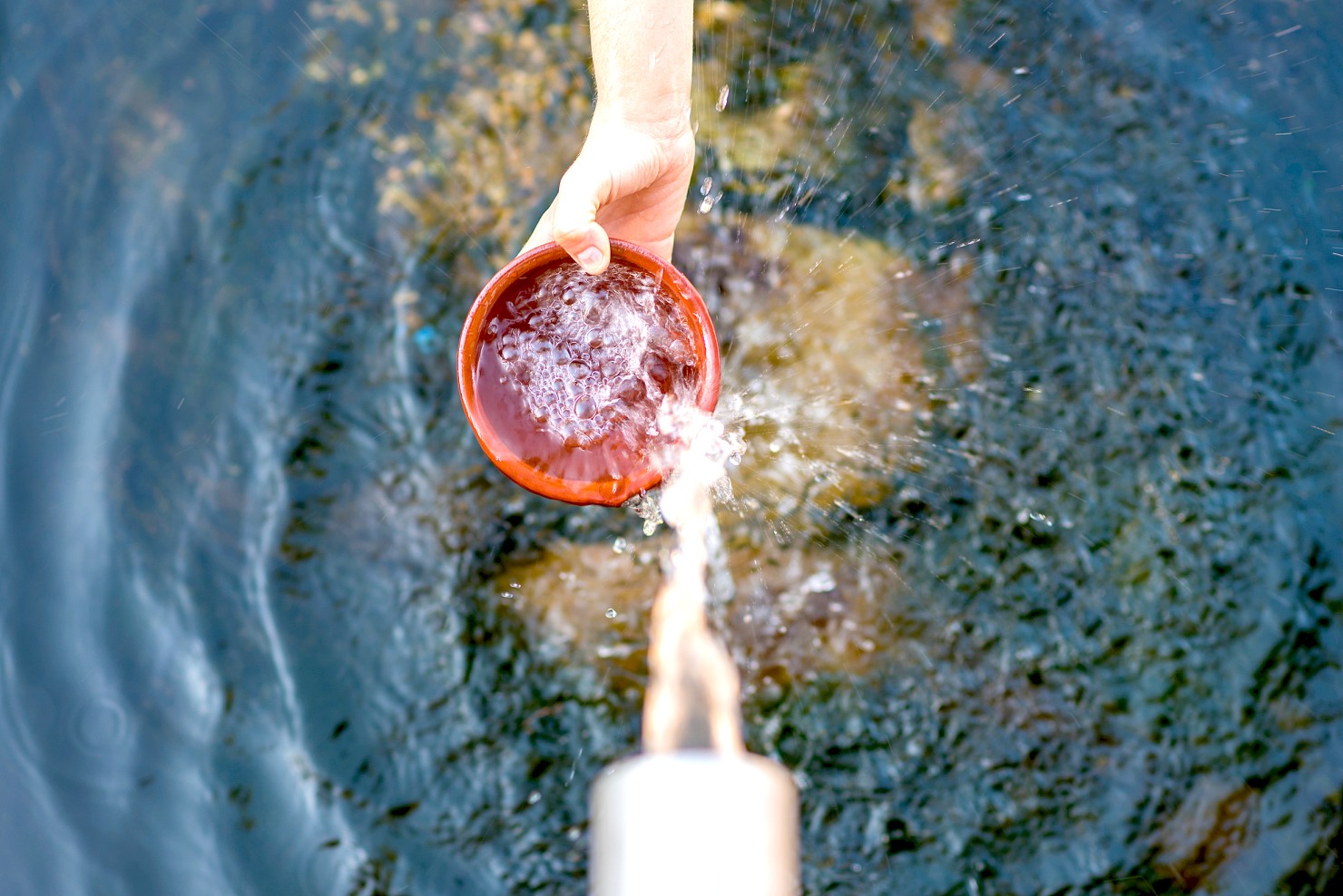 Image - Sehnsucht nach Lebenskraft