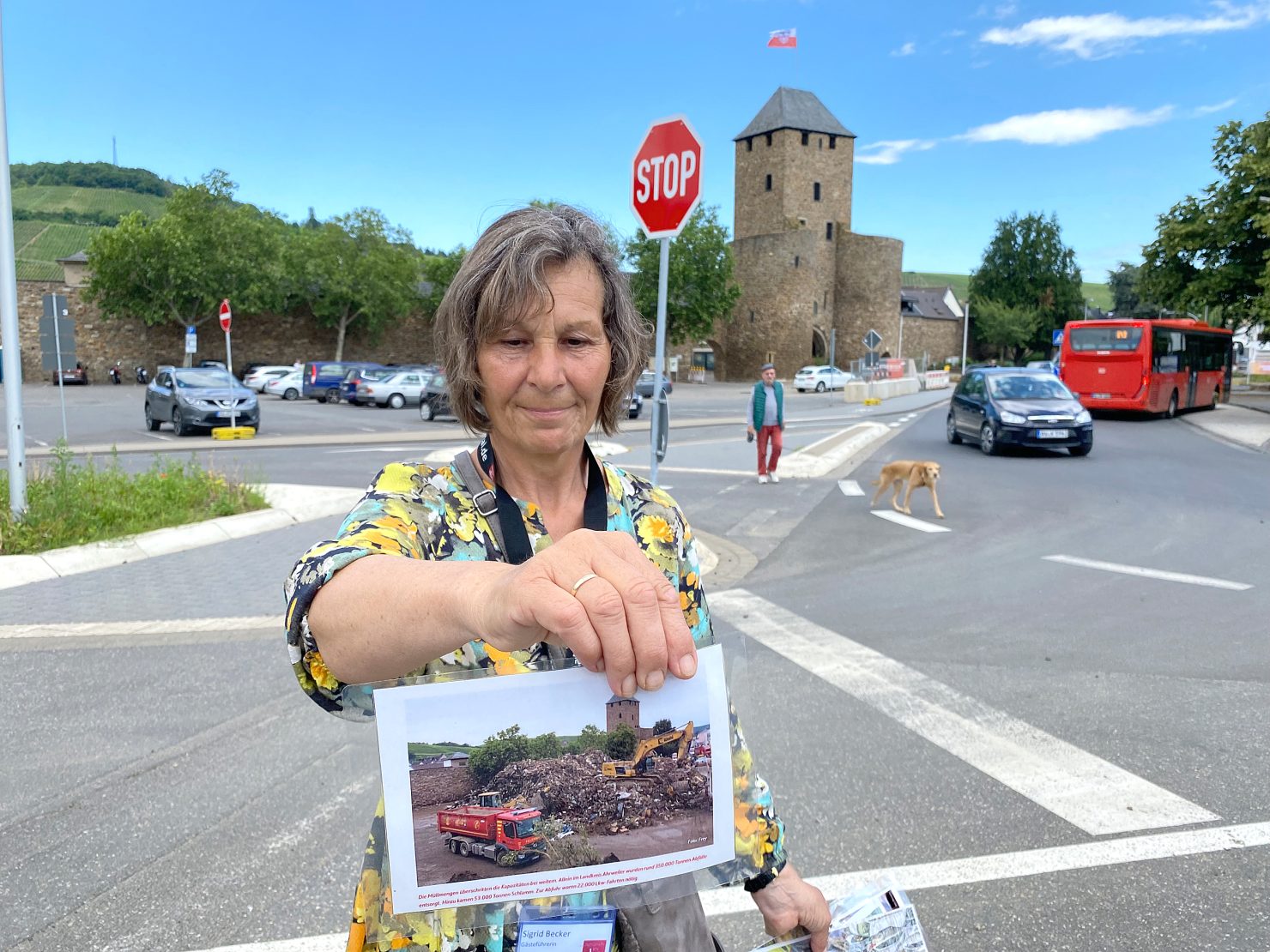 Image - Ganz langsam geht es voran