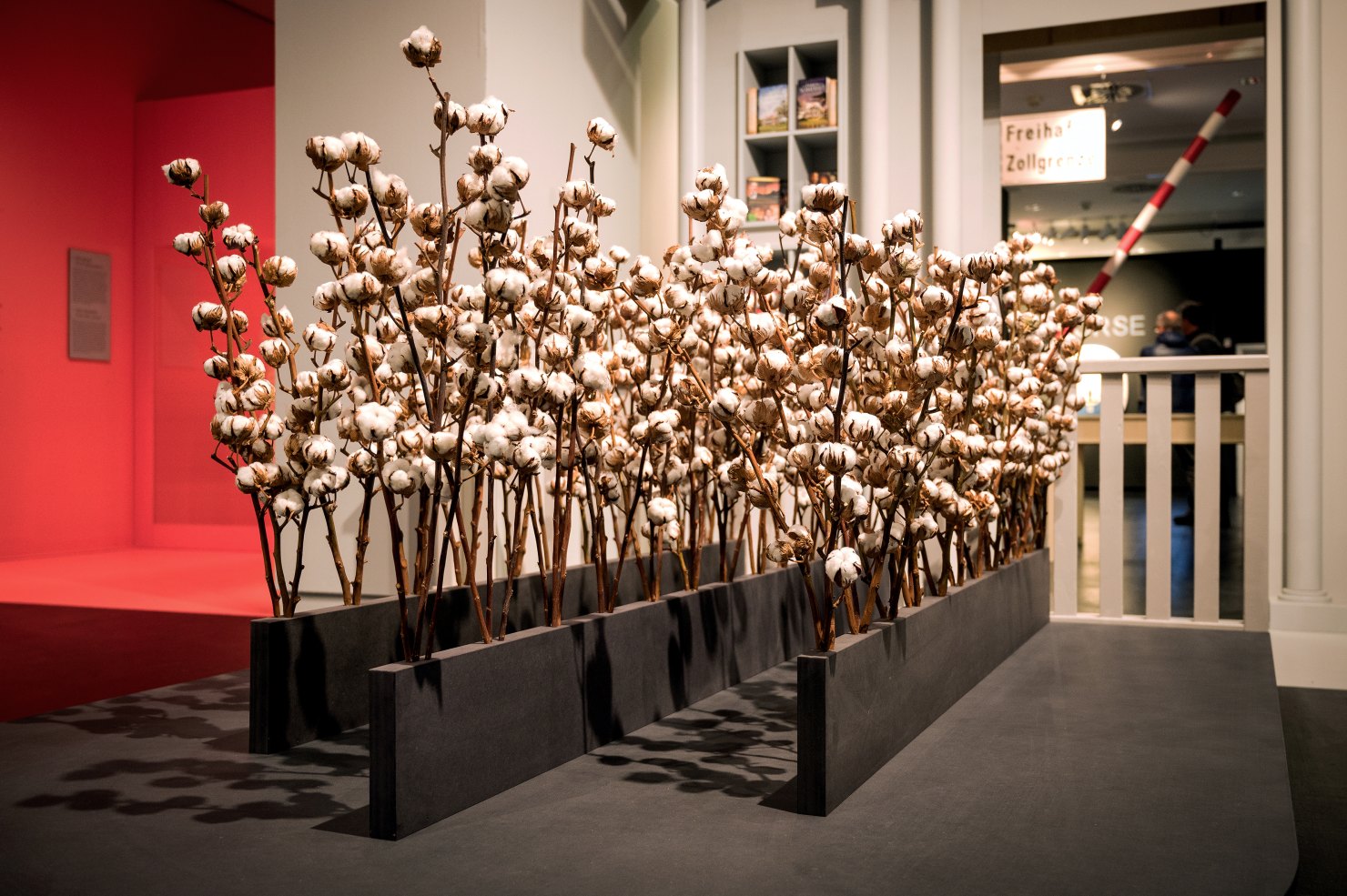 Image - Weißes Gold und smarte Faser