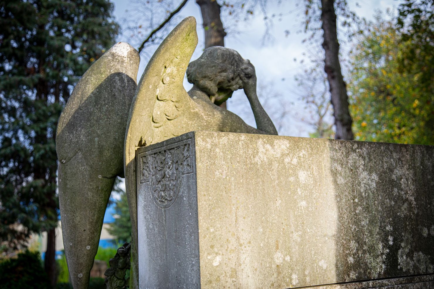 Image - Was unmöglich scheint