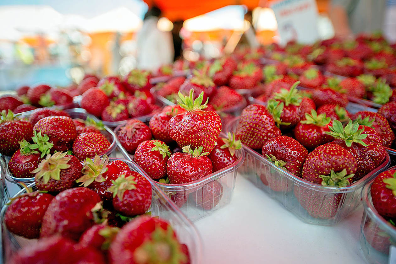 Image - Wasser ist Leben