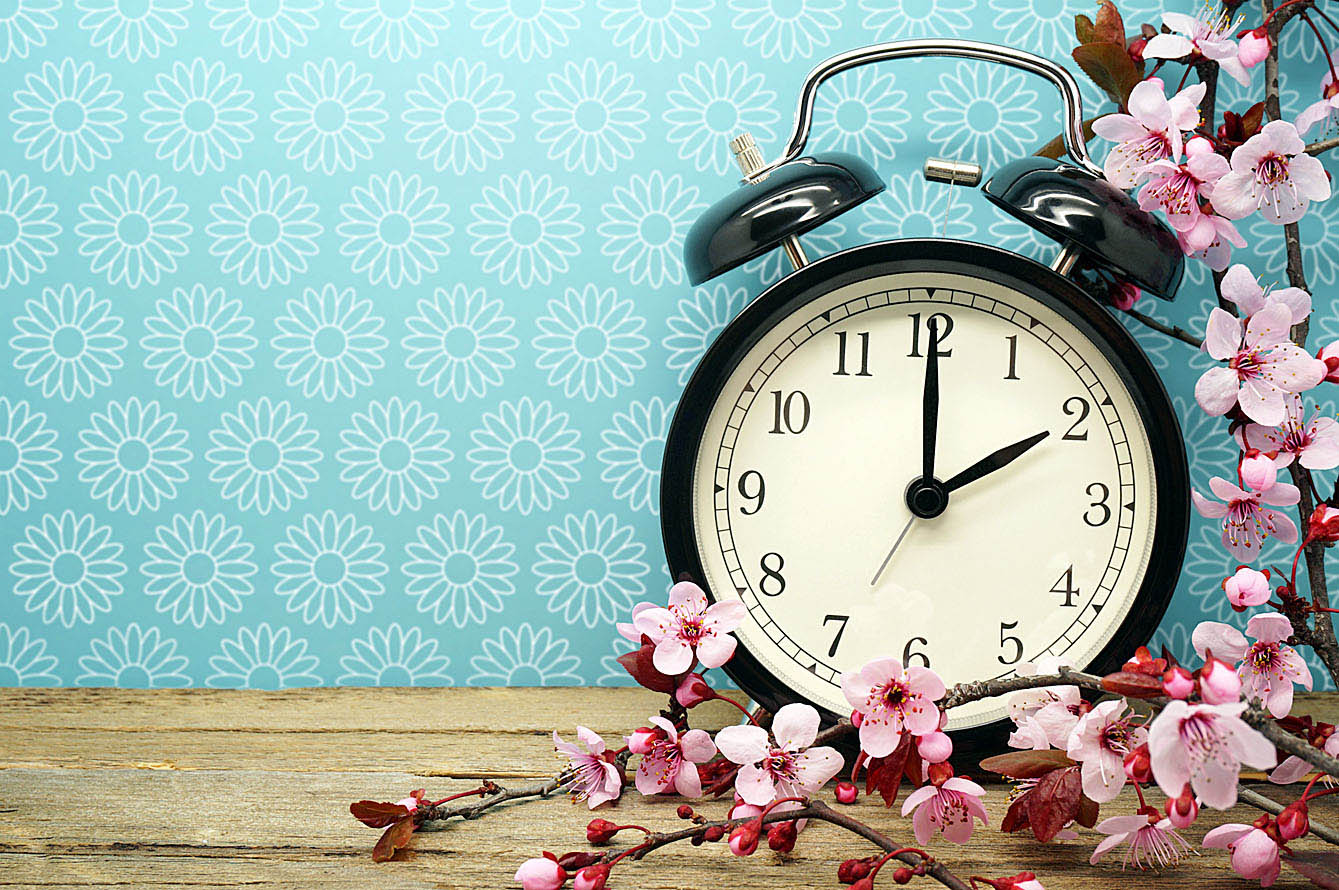 Image - „Wenn es sechsen is, denn is nich sieben“