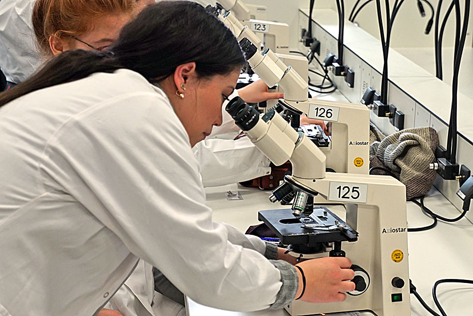 Image - Was darf Forschung?