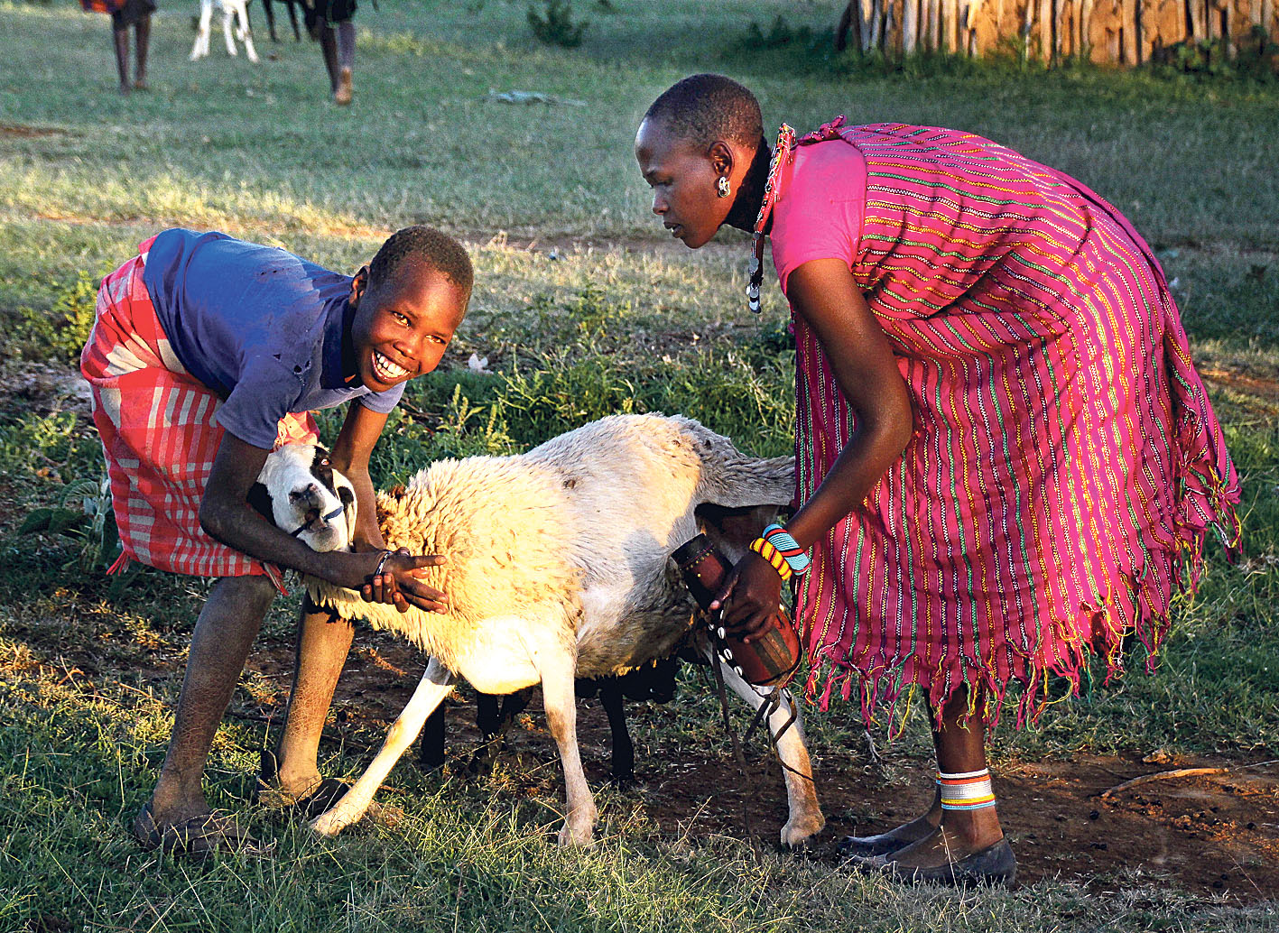 Image - Bücher statt Melkeimer