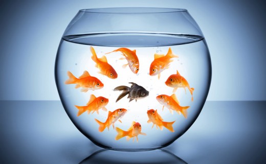 Image - Der Rassist in unseren Köpfen