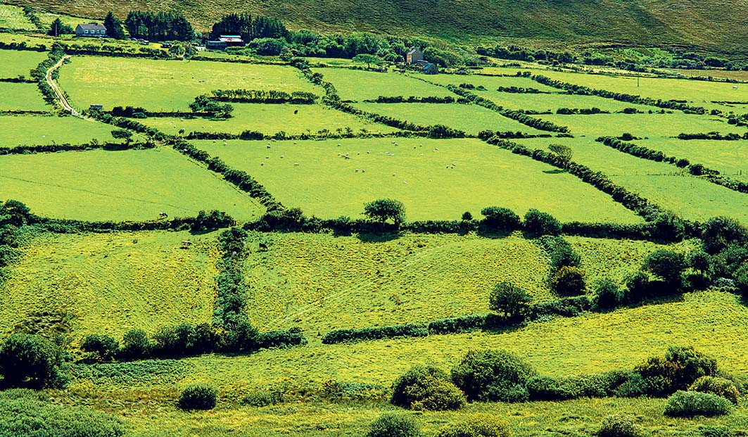 Image - Mit Hecken gegen Sandstürme