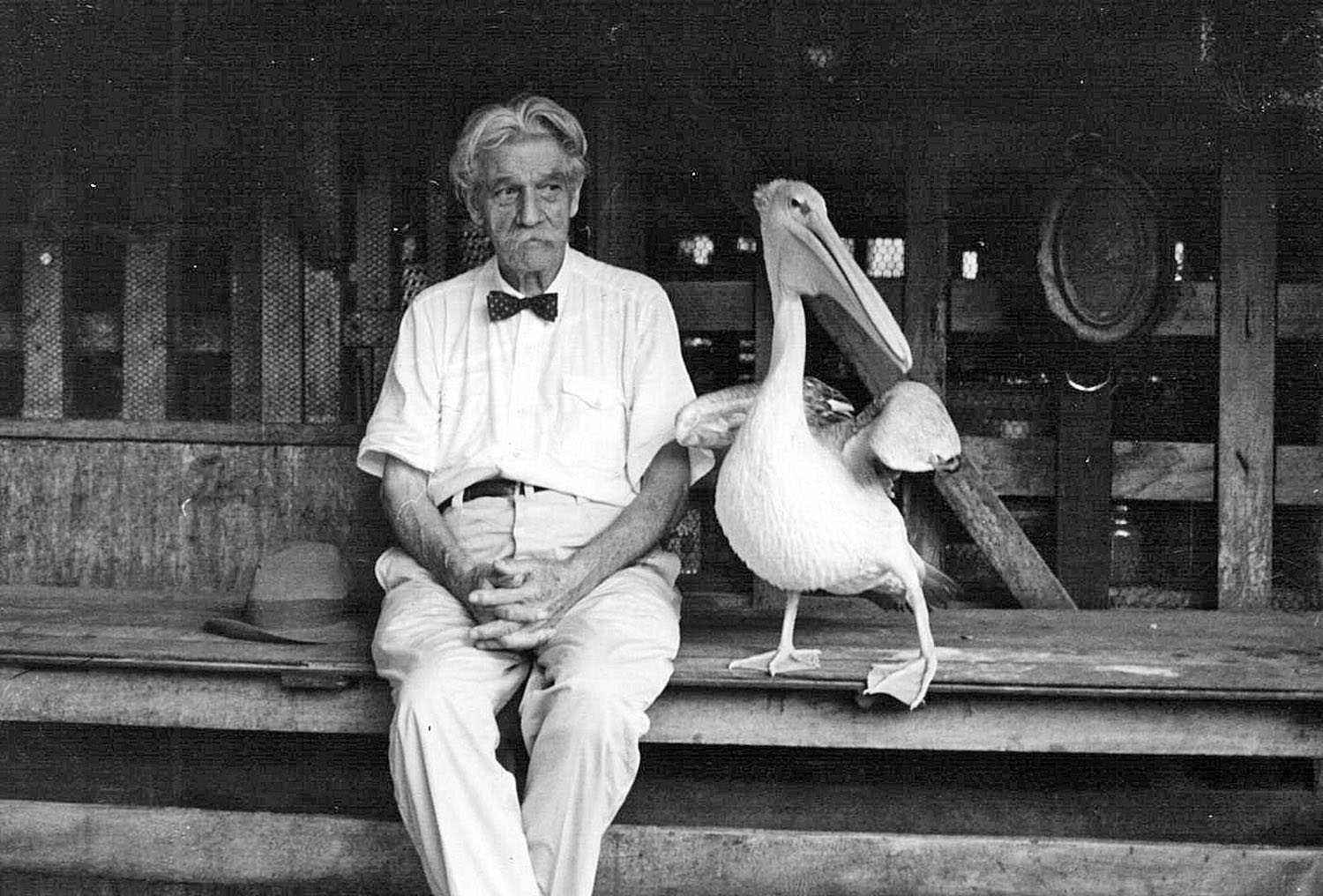 Image - Maßstab der Menschlichkeit