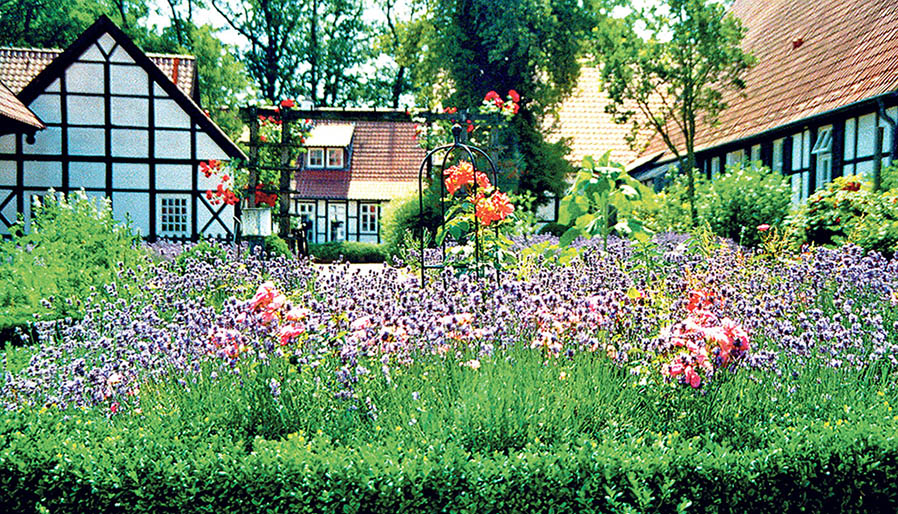 Image - Bunte Einwanderer