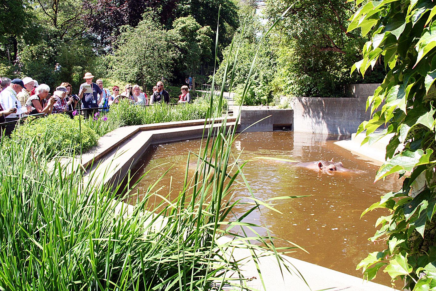 Image - Erstaunliche Entdeckungen