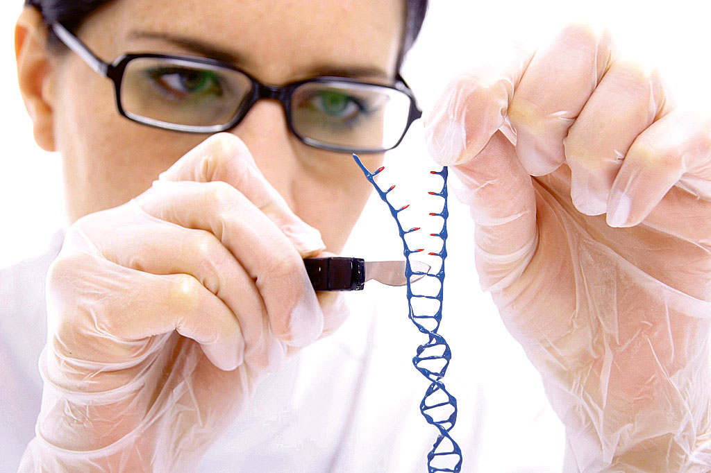 Image - Erbschlecht raus – dann alles Erbgut?