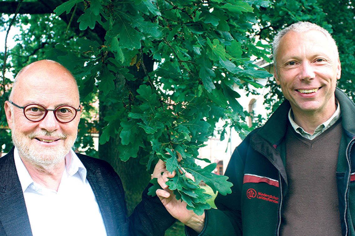 Image - 300 Eichen für Martin Luther