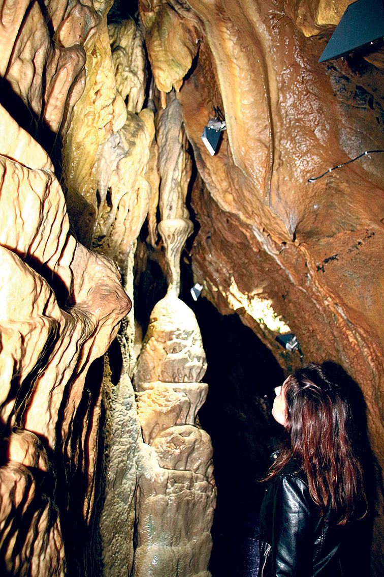 Image - Unterirdische Zauberwelt