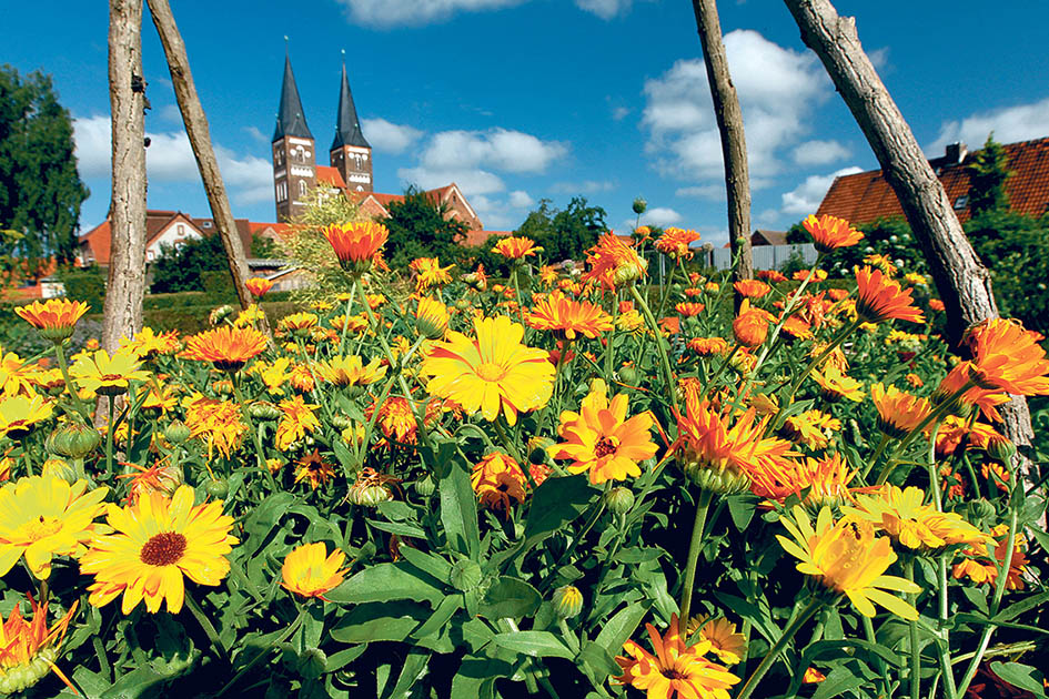 Image - „Es weitet meine Seele“