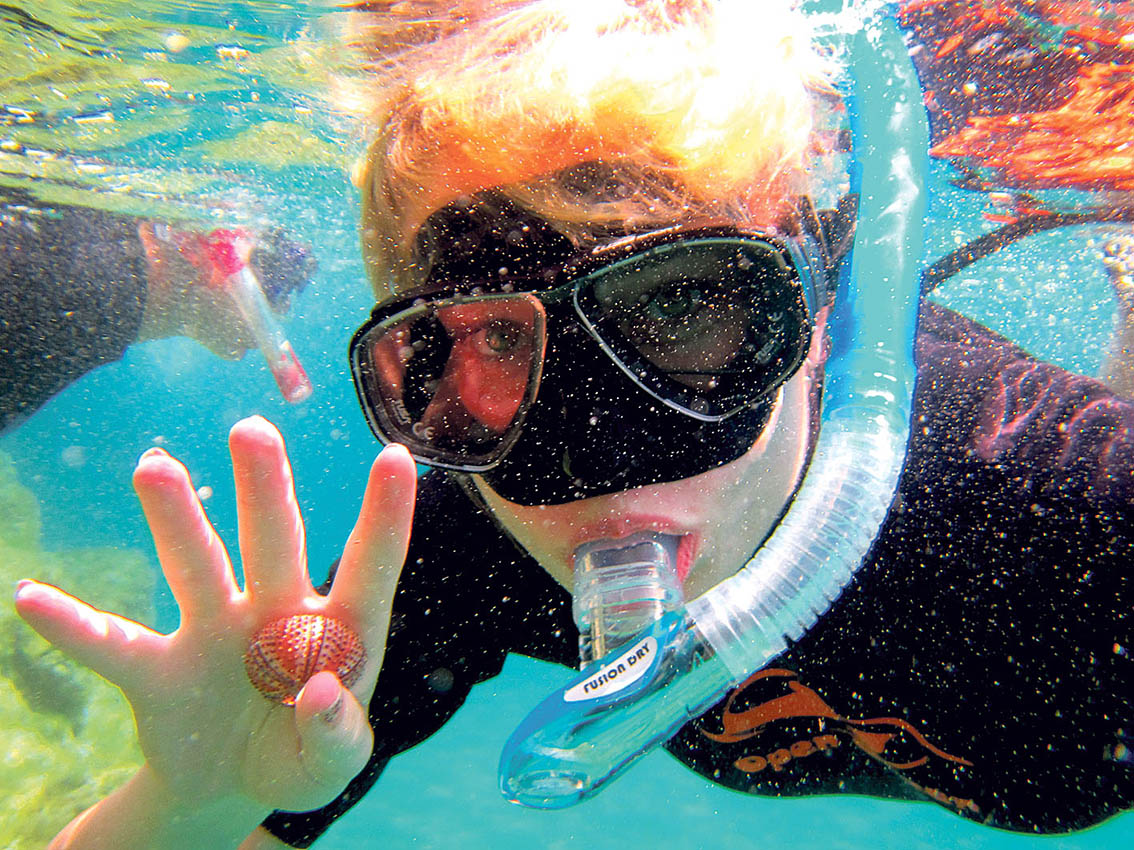 Image - World. Wide. Weg.