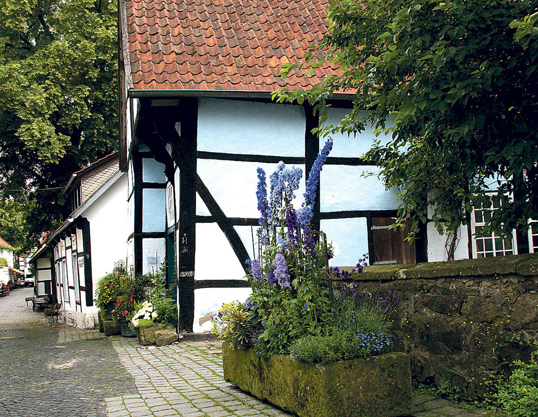 Image - Magischer Blick