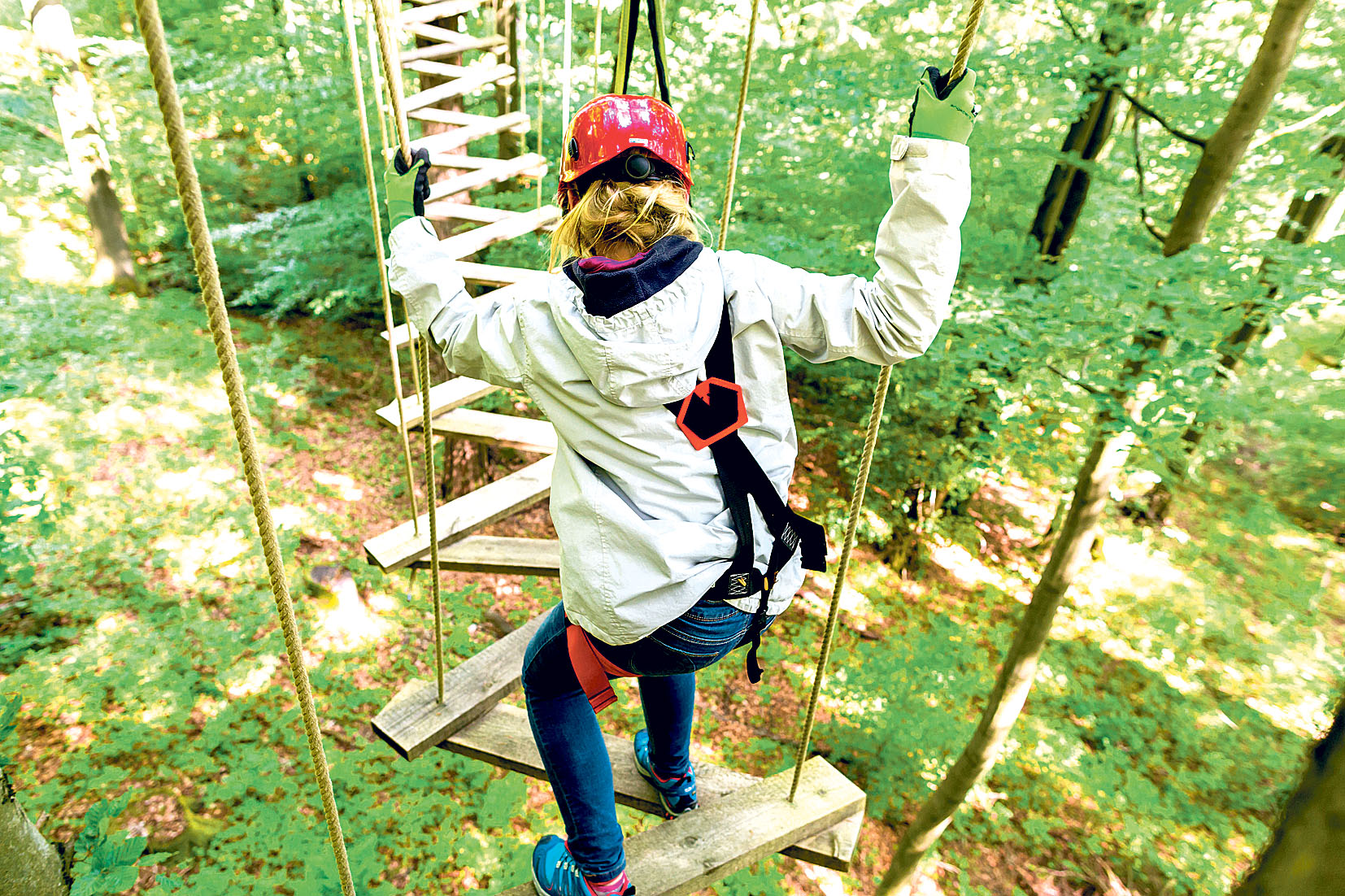 Image - Über Grenzen hinaus