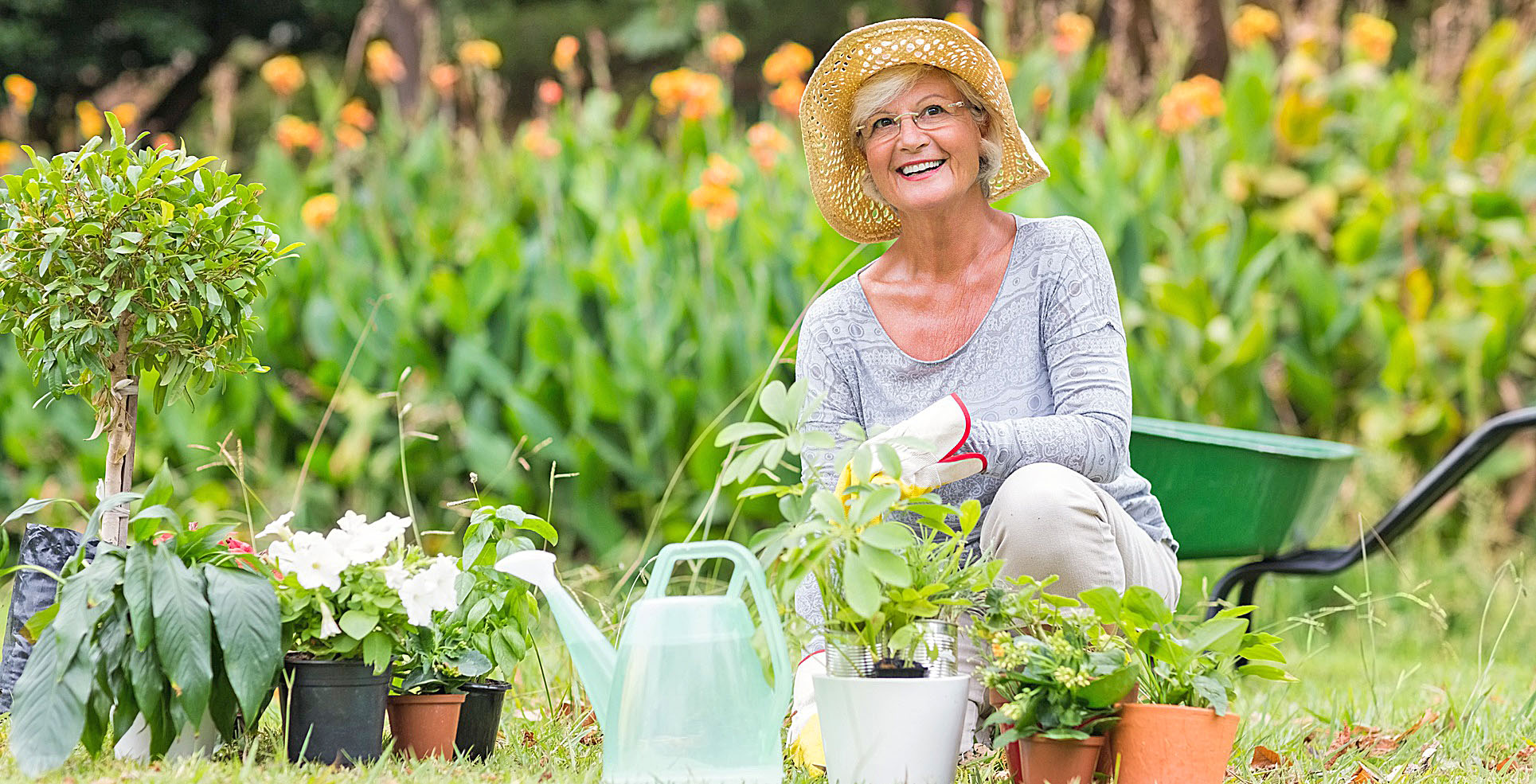 Image - Der Garten als Lehrmeister